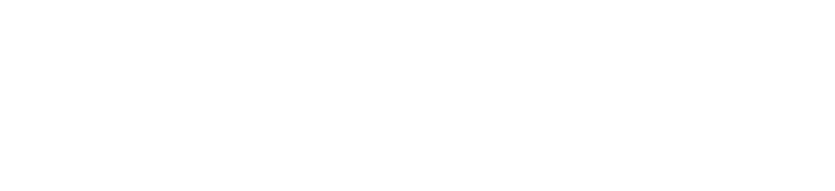 Airport & Port Services LATAM